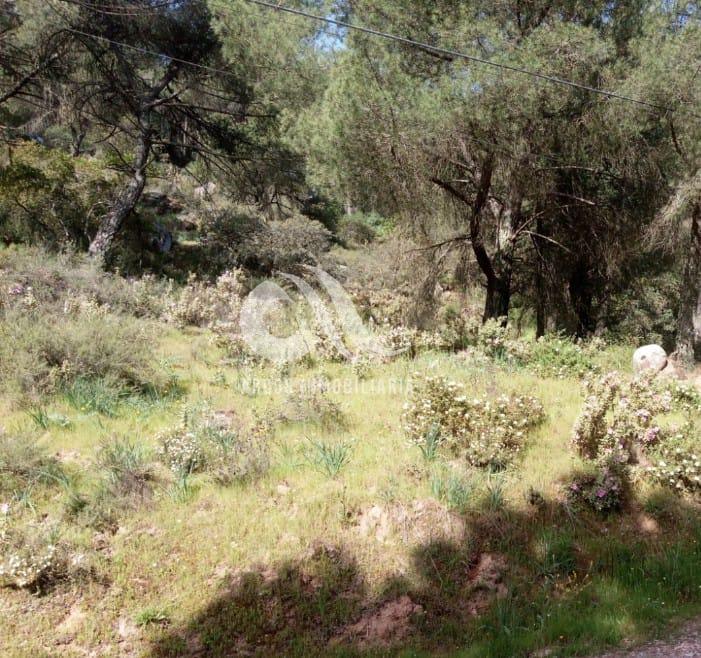 For sale of land in Córdoba