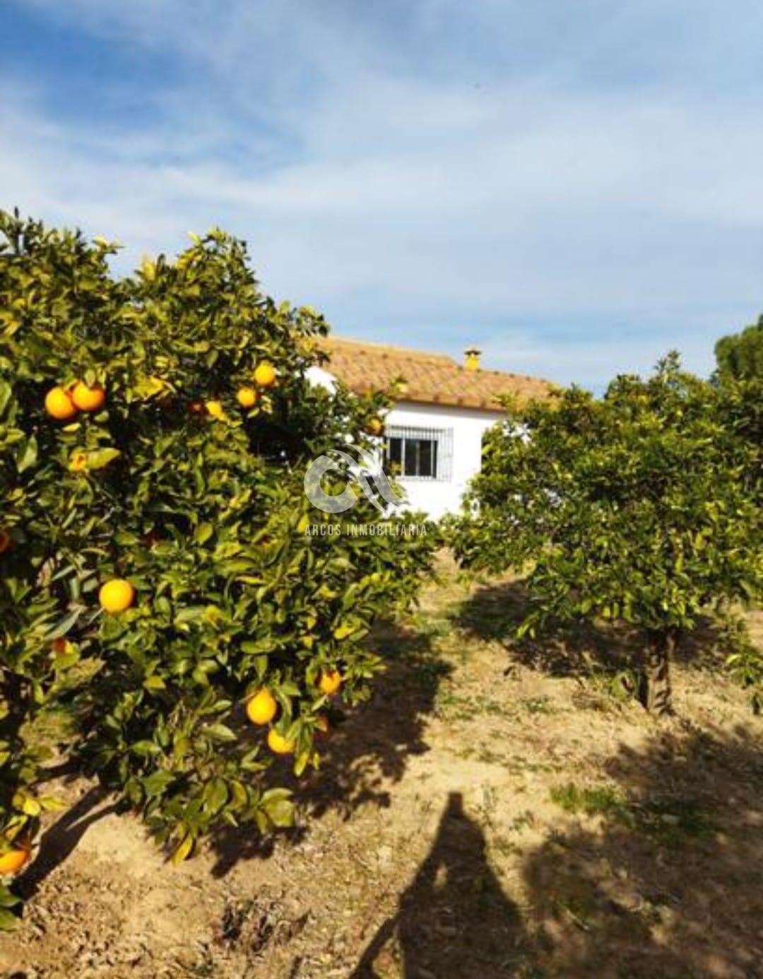 For sale of chalet in Córdoba