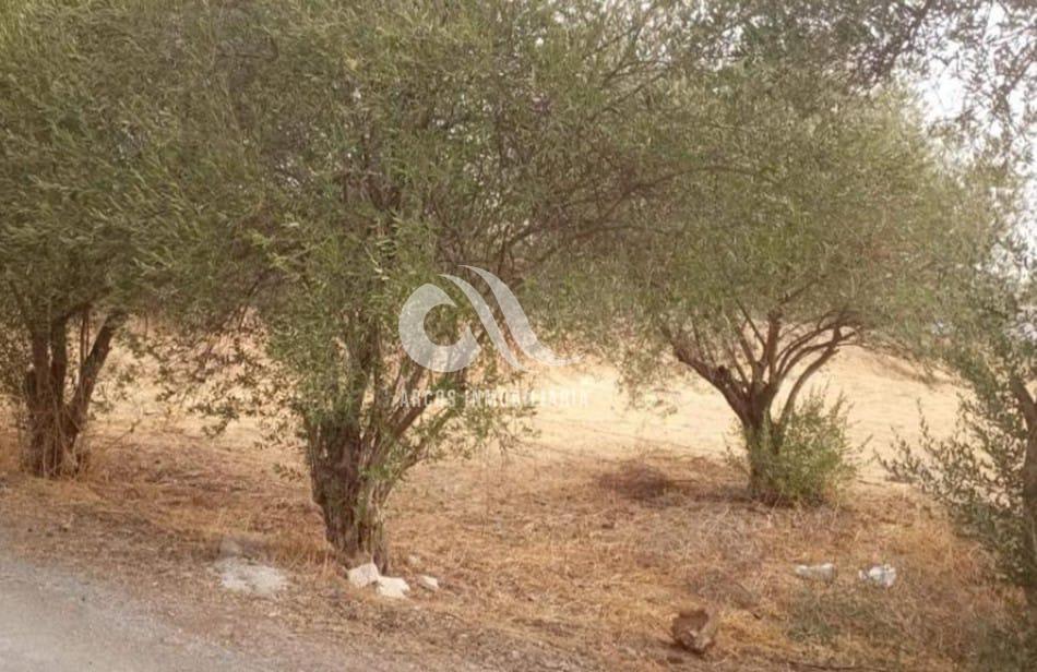 For sale of land in Córdoba