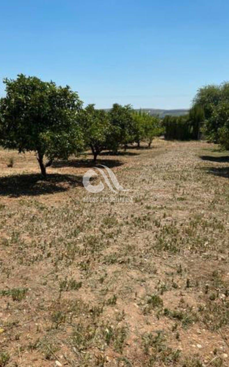 For sale of rural property in Córdoba