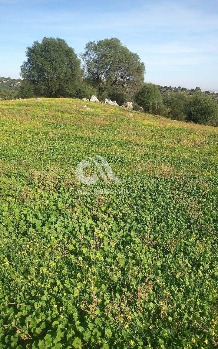 For sale of rural property in Córdoba