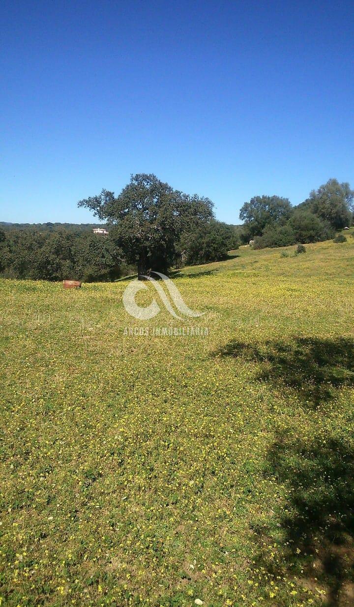 For sale of rural property in Córdoba