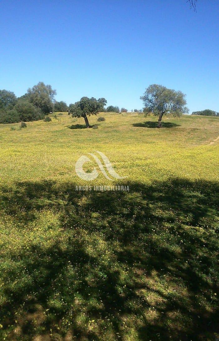 For sale of rural property in Córdoba