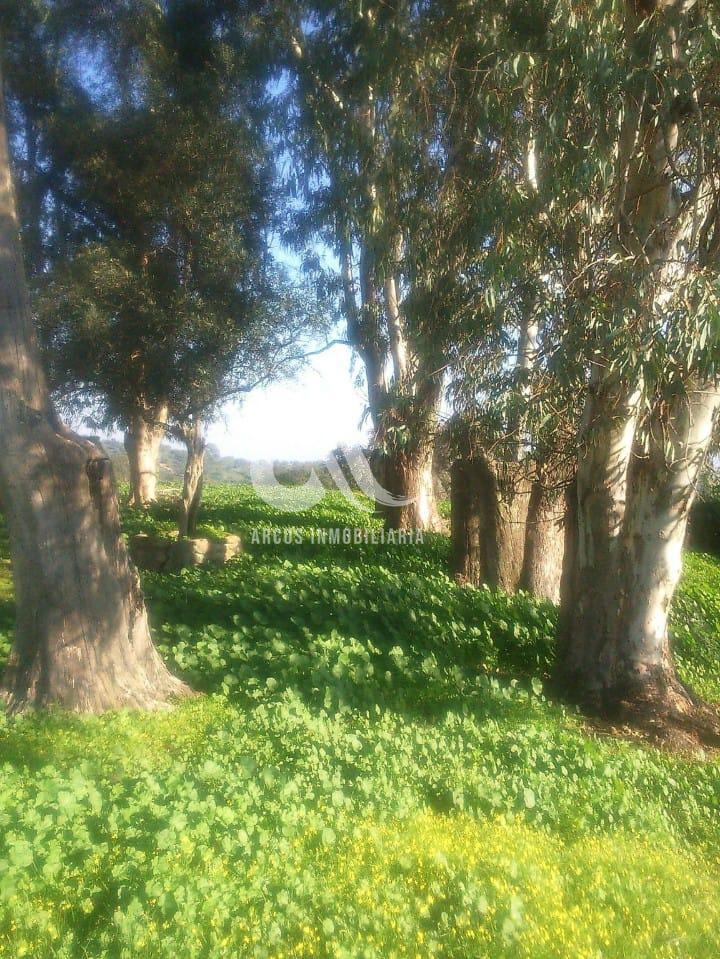 For sale of rural property in Córdoba