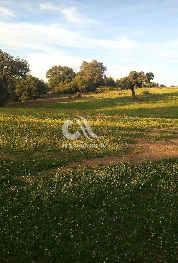 For sale of rural property in Córdoba