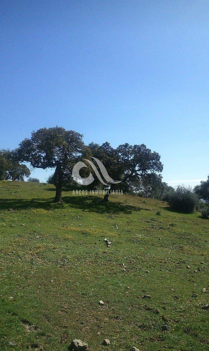 For sale of rural property in Córdoba