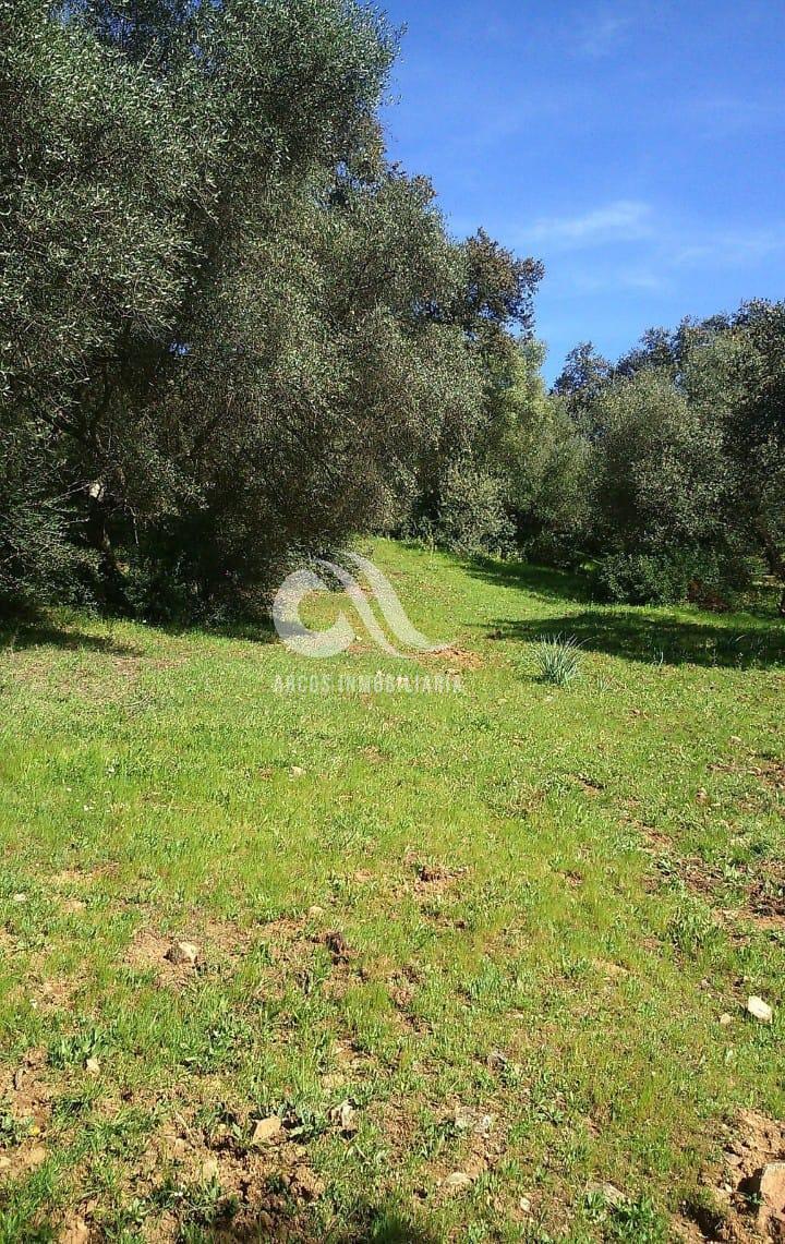 For sale of rural property in Córdoba