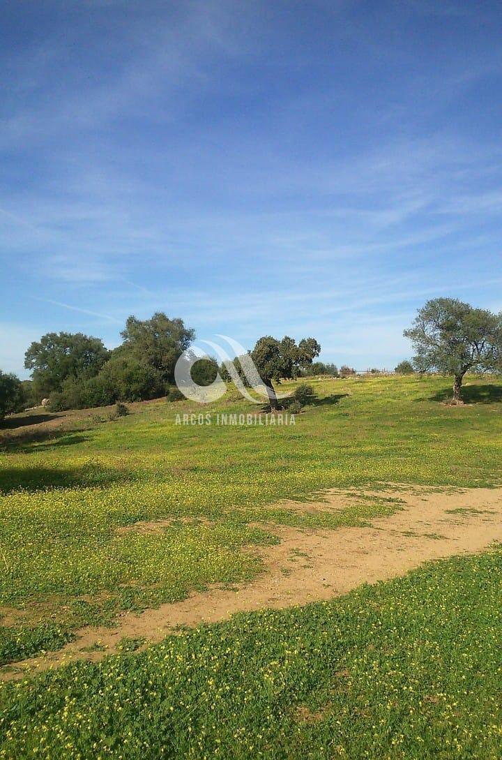 For sale of rural property in Córdoba