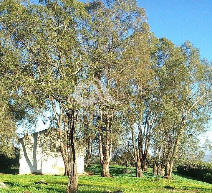 For sale of rural property in Córdoba