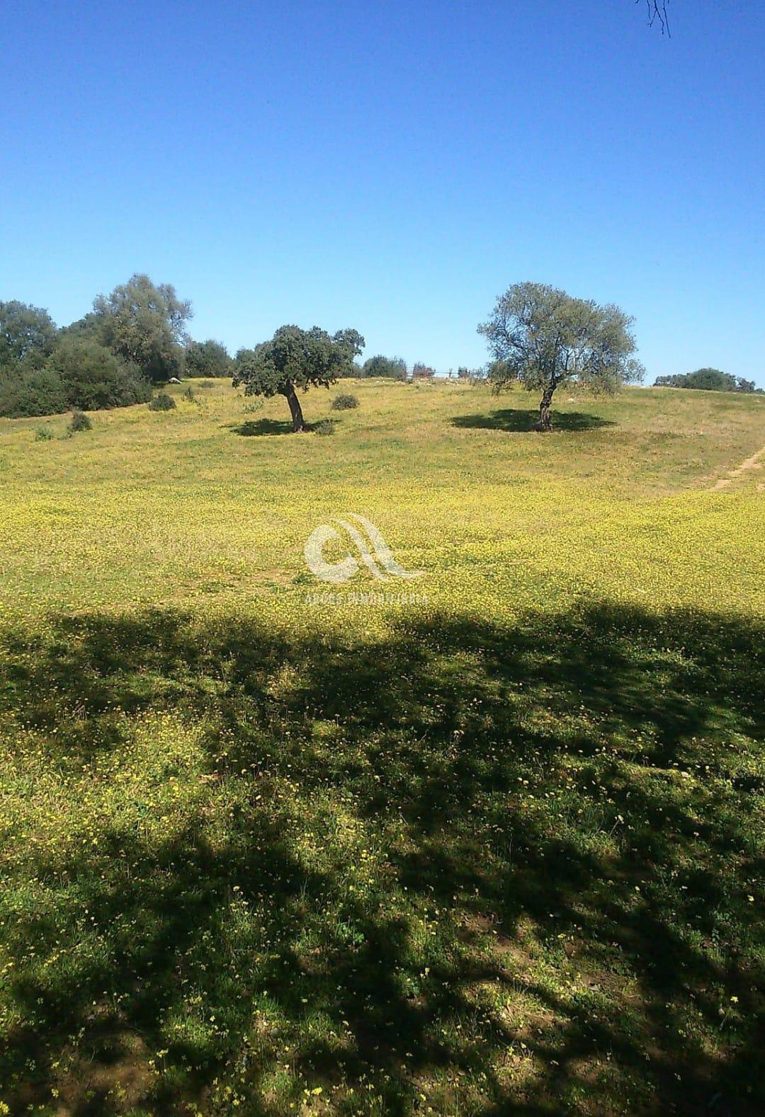 For sale of rural property in Córdoba
