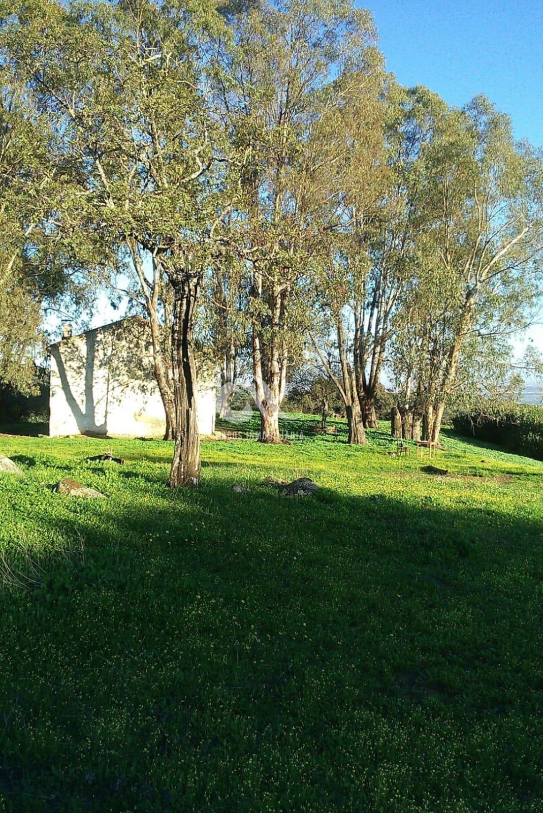 For sale of rural property in Córdoba