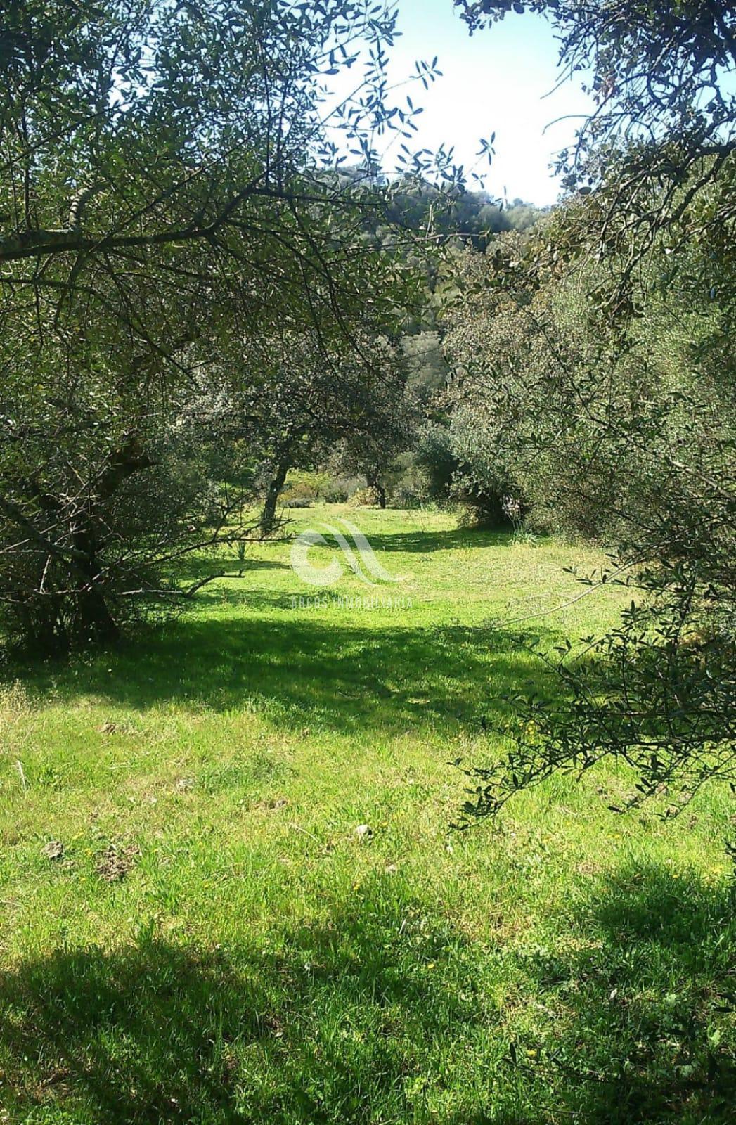 For sale of rural property in Córdoba