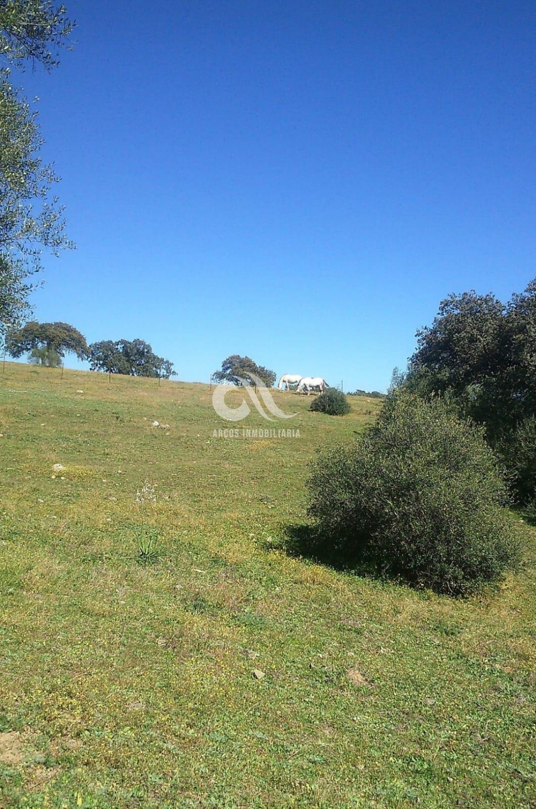For sale of rural property in Córdoba