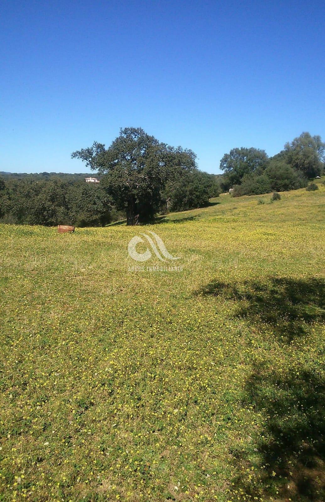 For sale of rural property in Córdoba