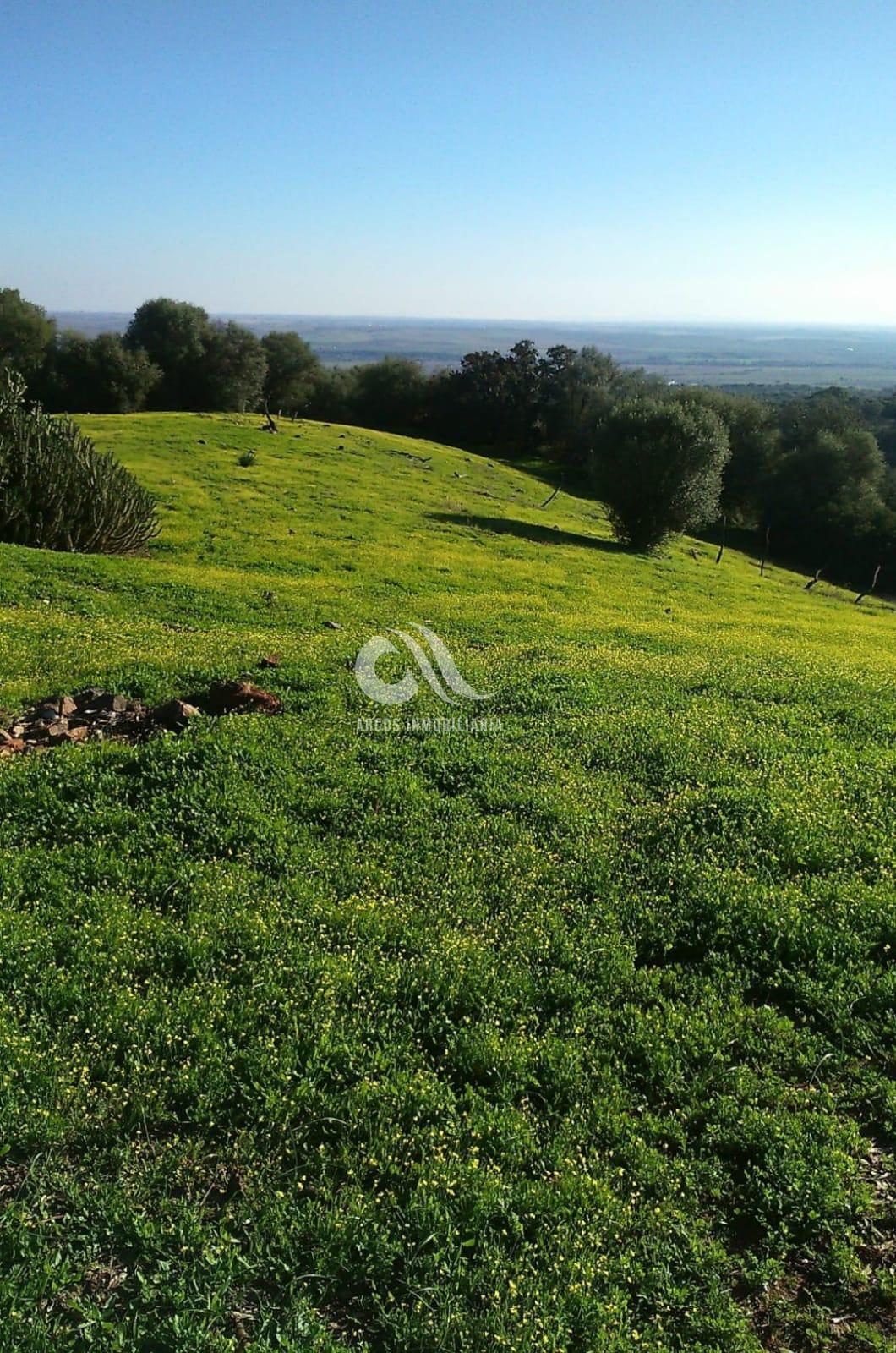 For sale of rural property in Córdoba
