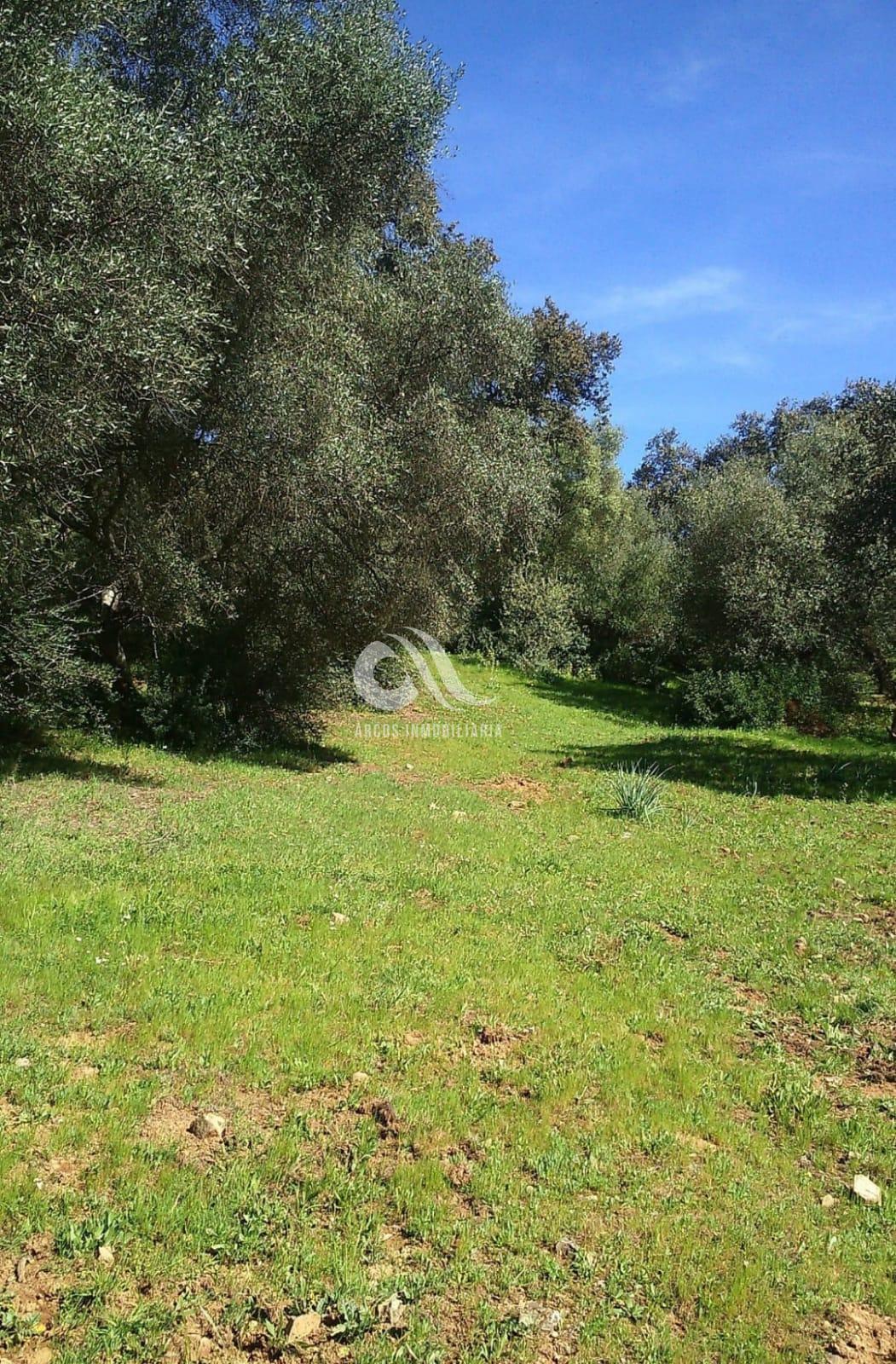 For sale of rural property in Córdoba