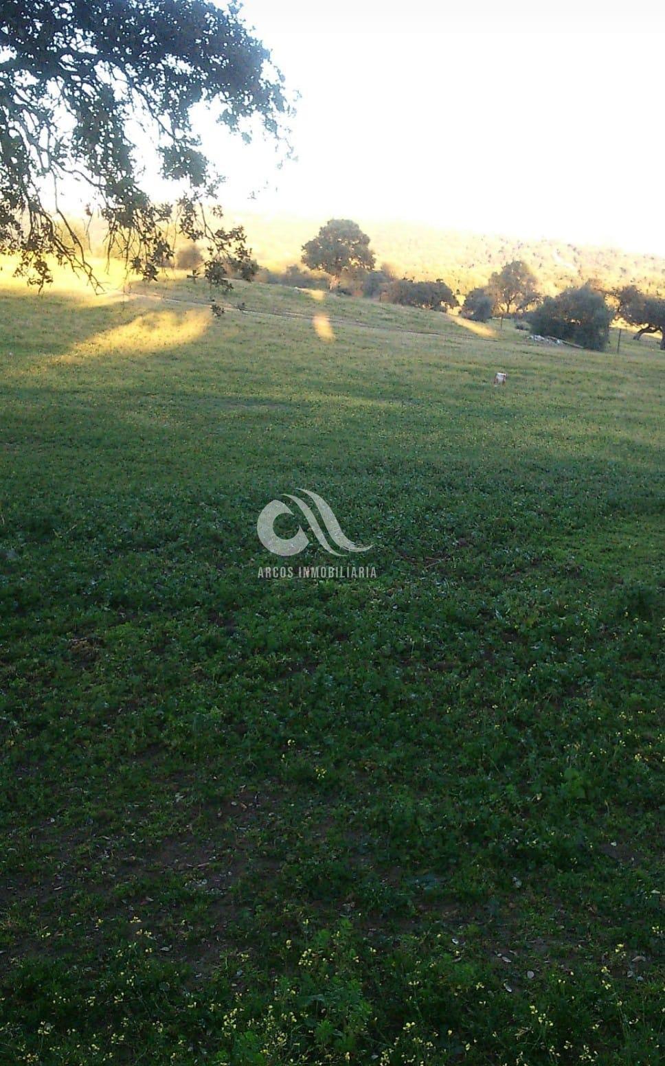 For sale of rural property in Córdoba