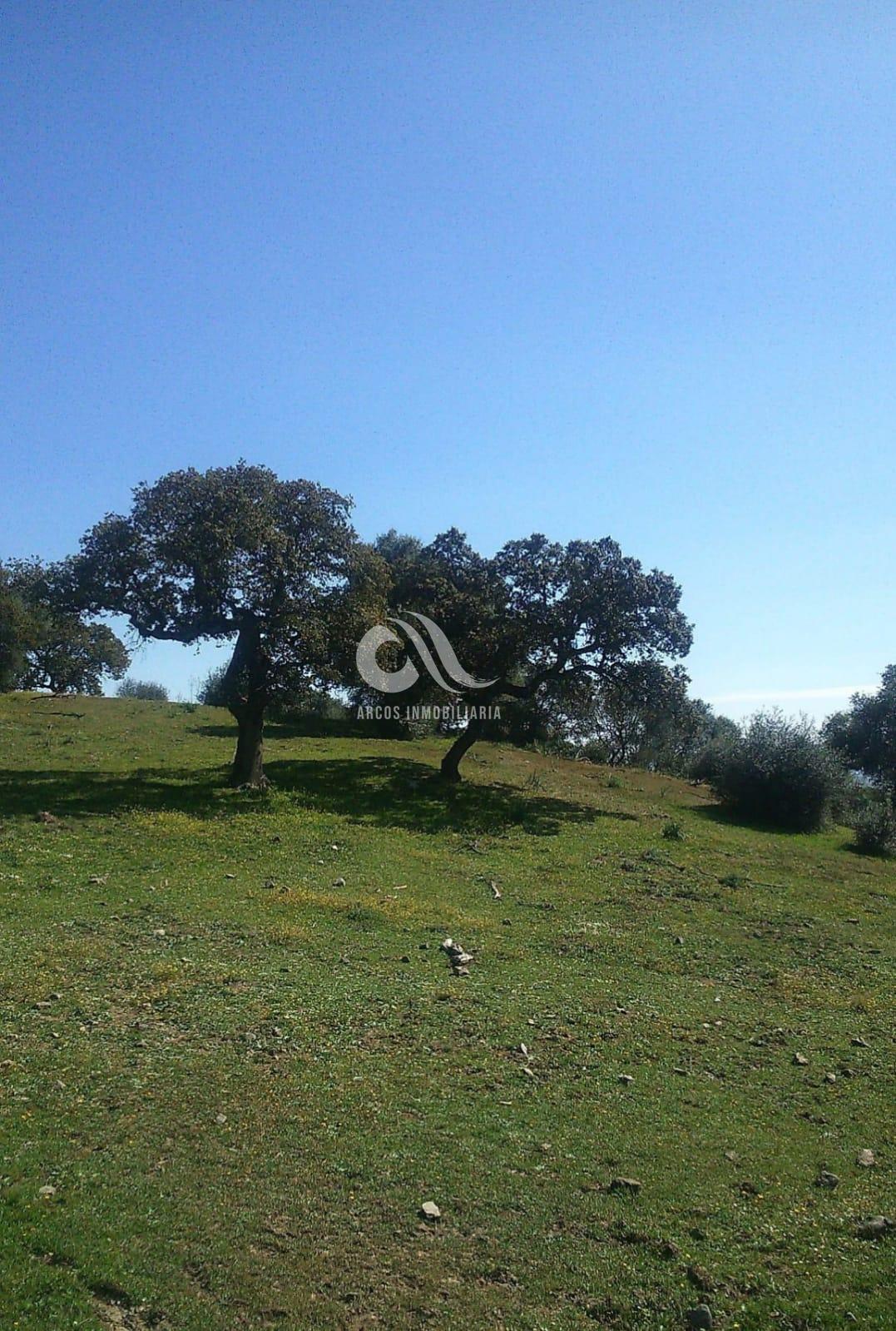 For sale of rural property in Córdoba