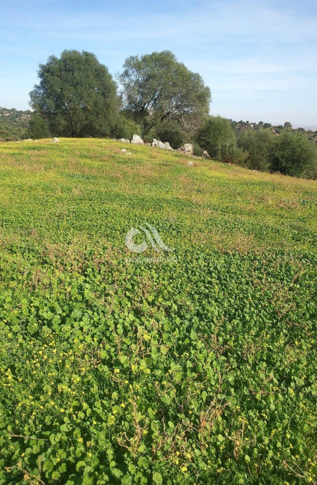 For sale of rural property in Córdoba