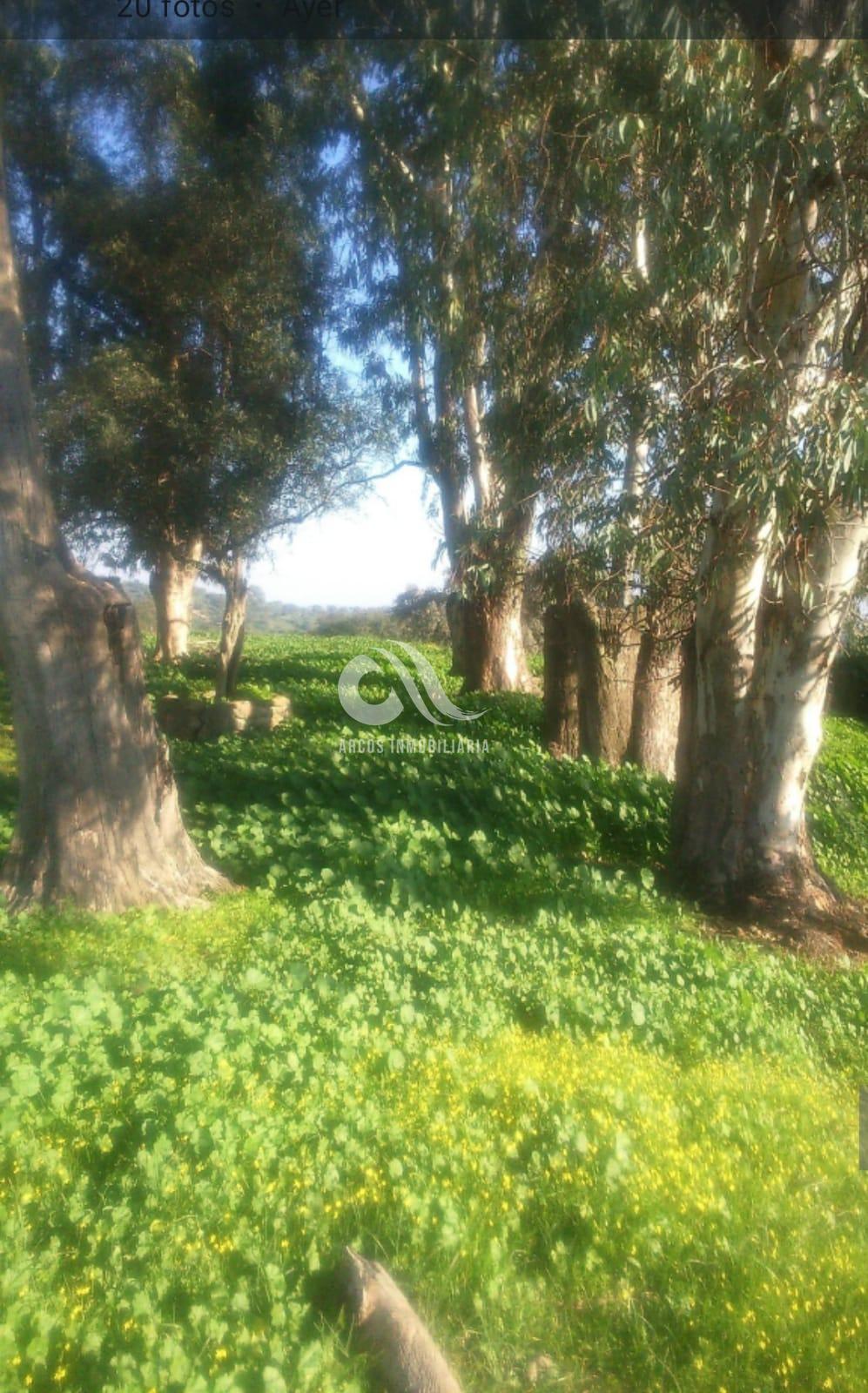 For sale of rural property in Córdoba