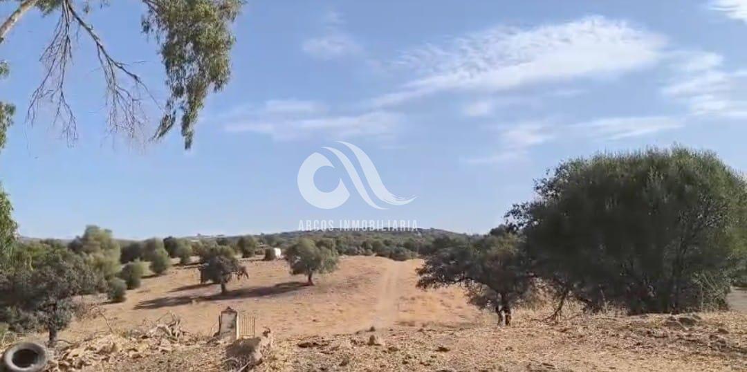 Venta de finca rústica en Córdoba