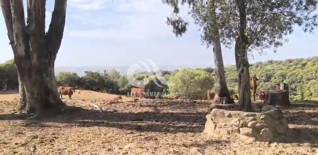 Venta de finca rústica en Córdoba
