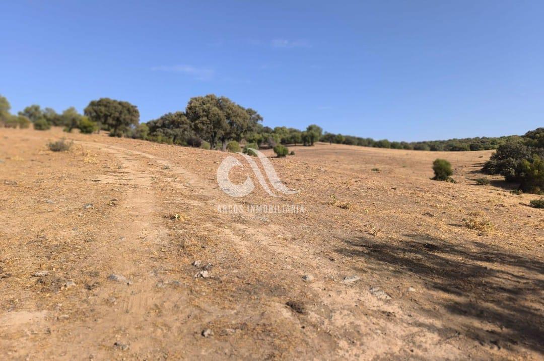 Venta de finca rústica en Córdoba