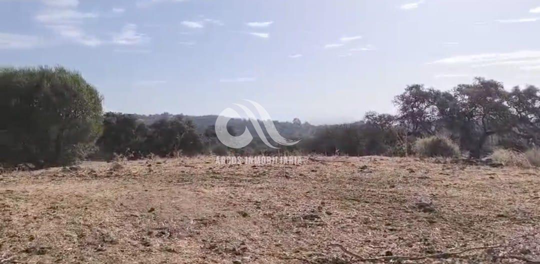 Venta de finca rústica en Córdoba