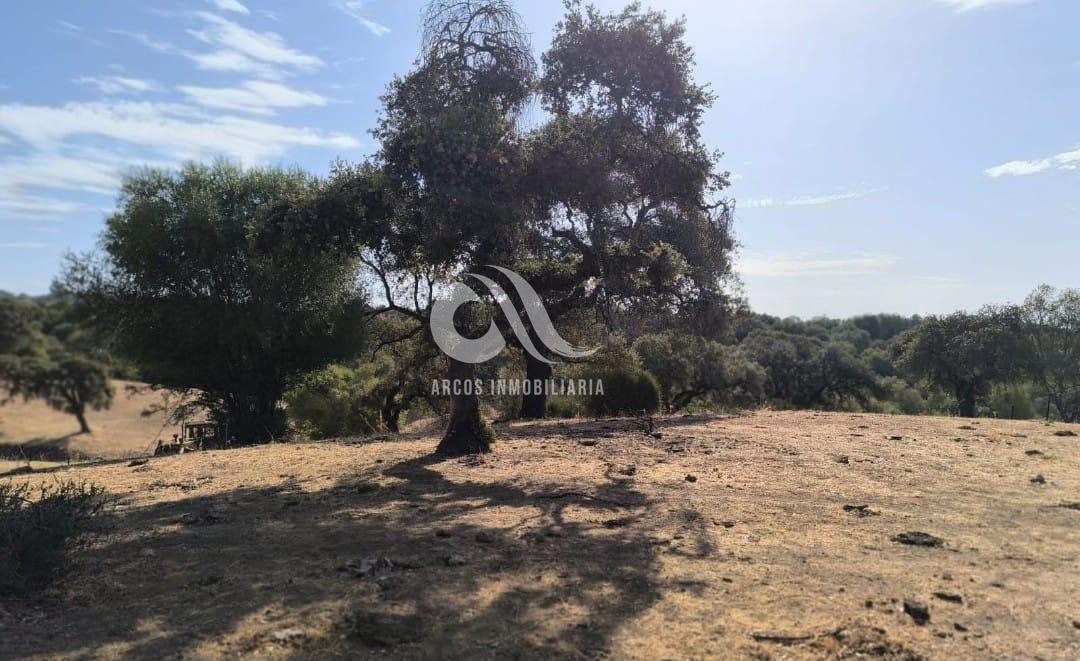 Venta de finca rústica en Córdoba