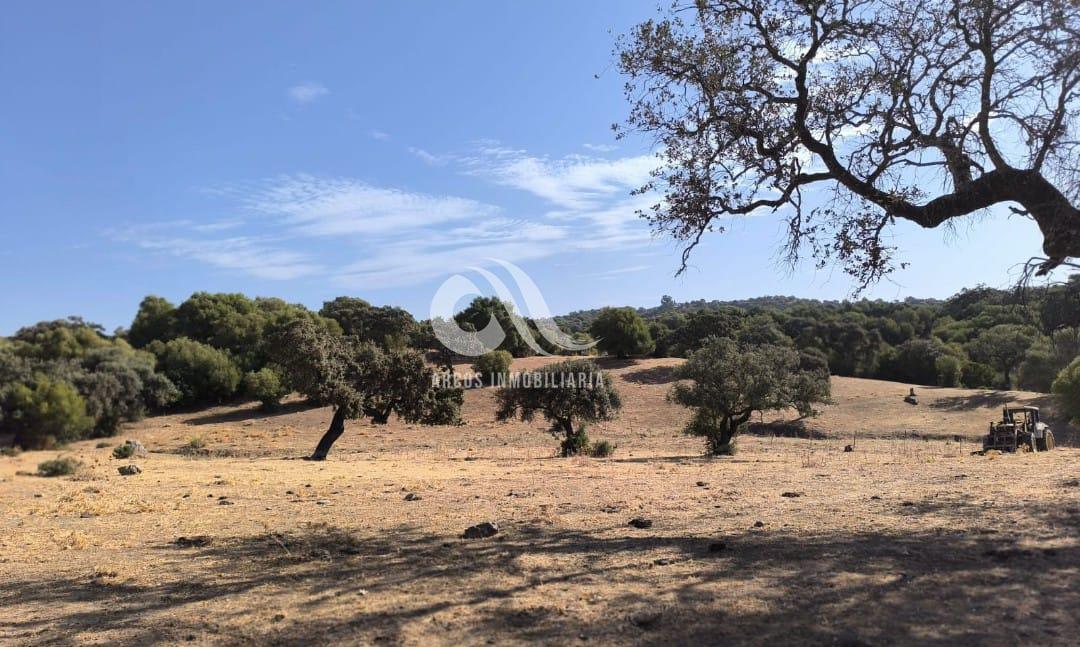 Venta de finca rústica en Córdoba