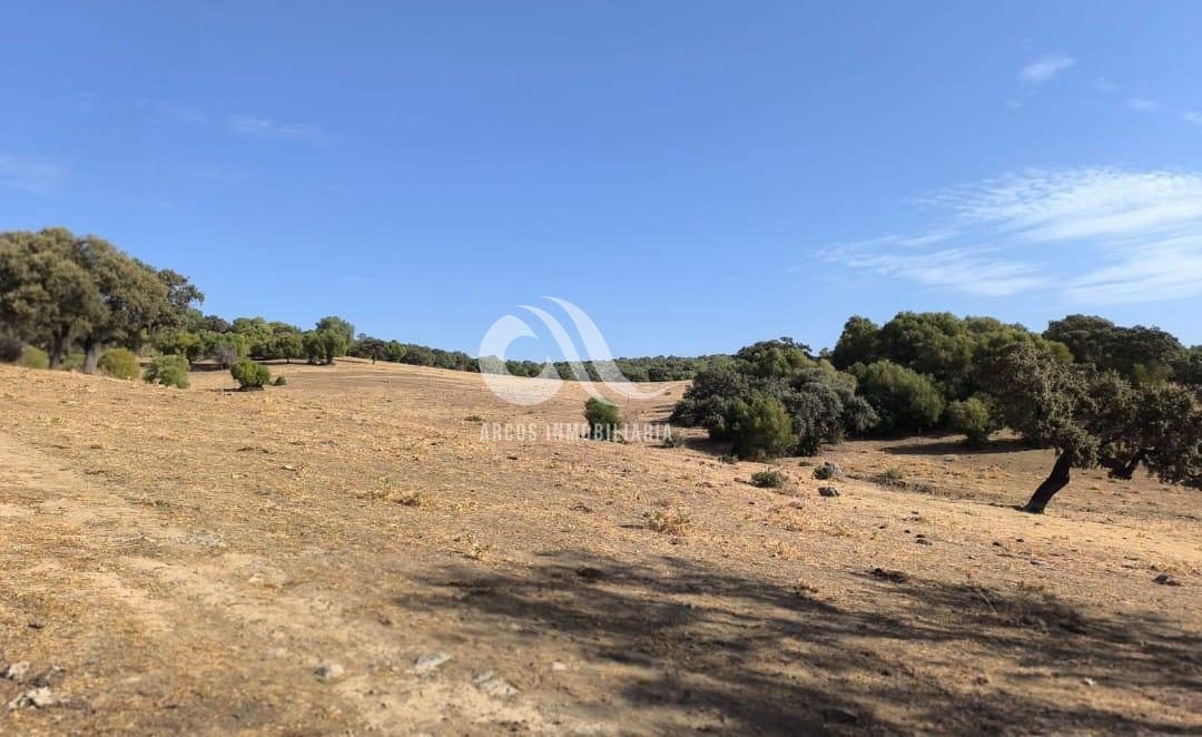 Venta de finca rústica en Córdoba