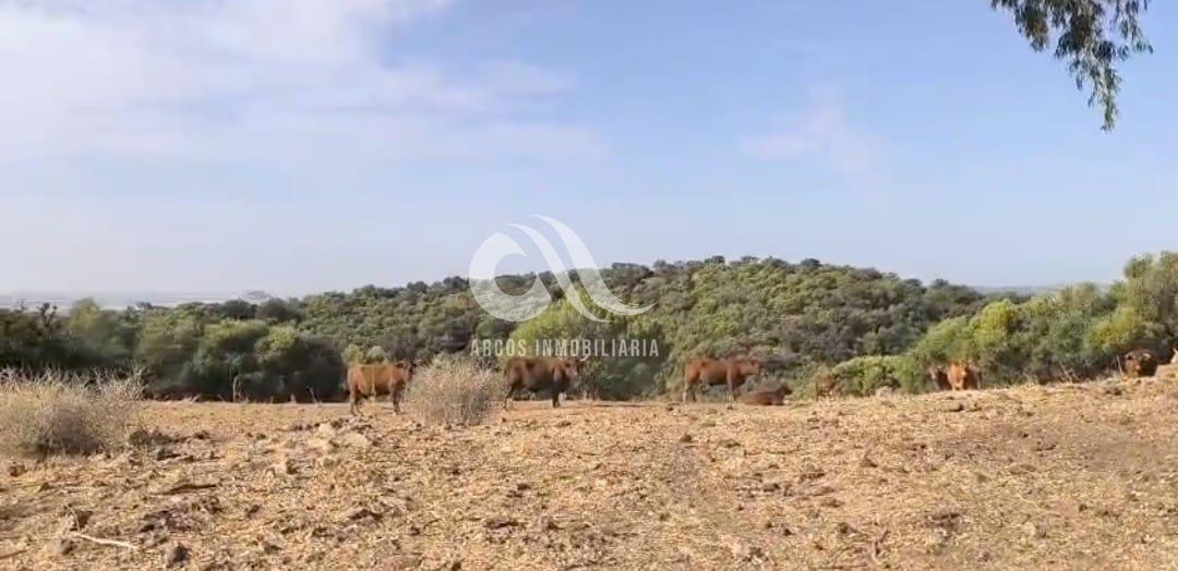 Venta de finca rústica en Córdoba