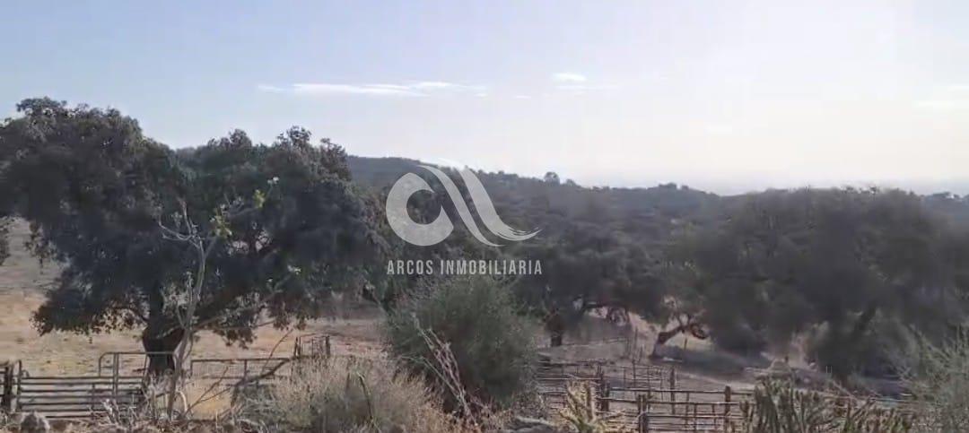 Venta de finca rústica en Córdoba
