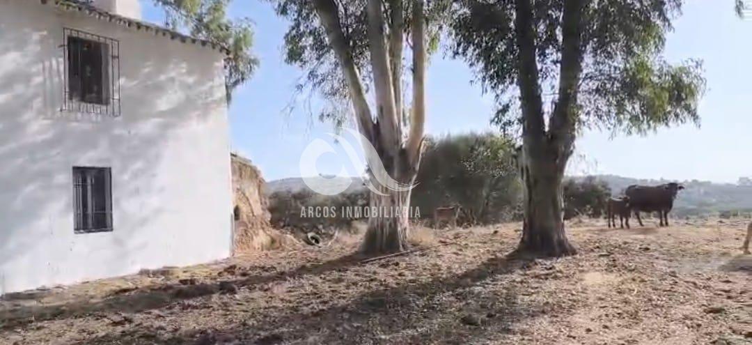 Venta de finca rústica en Córdoba
