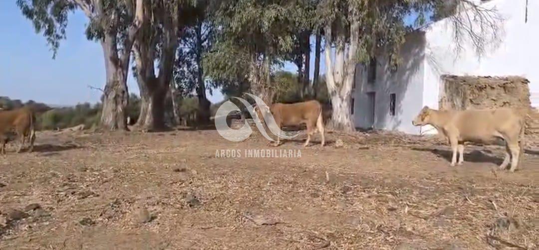 Venta de finca rústica en Córdoba