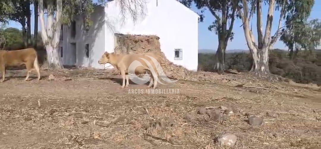 Venta de finca rústica en Córdoba