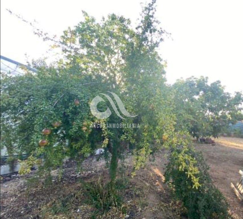 For sale of land in Córdoba