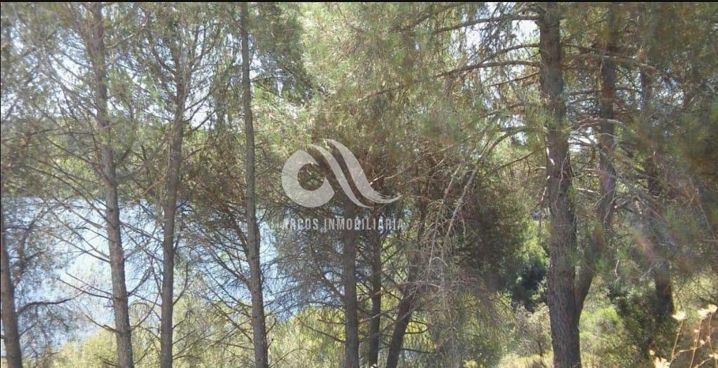 For sale of land in Córdoba
