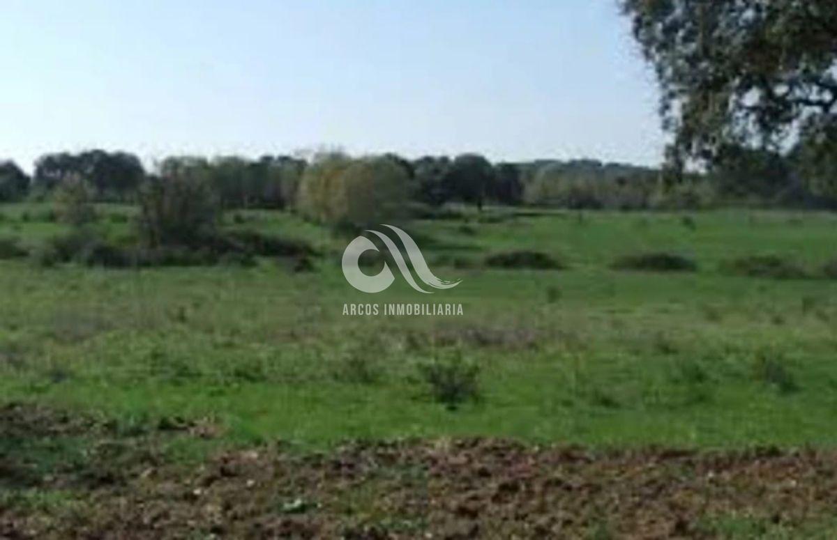 For sale of land in Córdoba