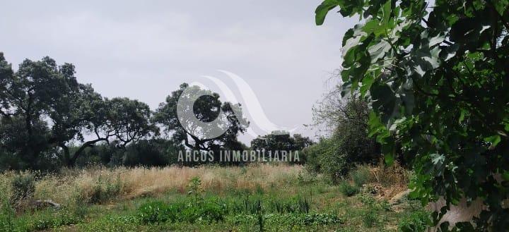 For sale of land in Córdoba