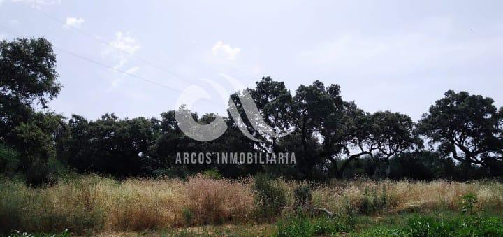 For sale of land in Córdoba