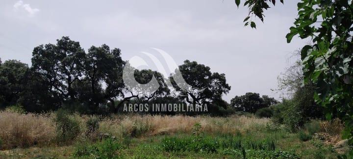 For sale of land in Córdoba