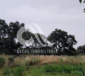 For sale of land in Córdoba