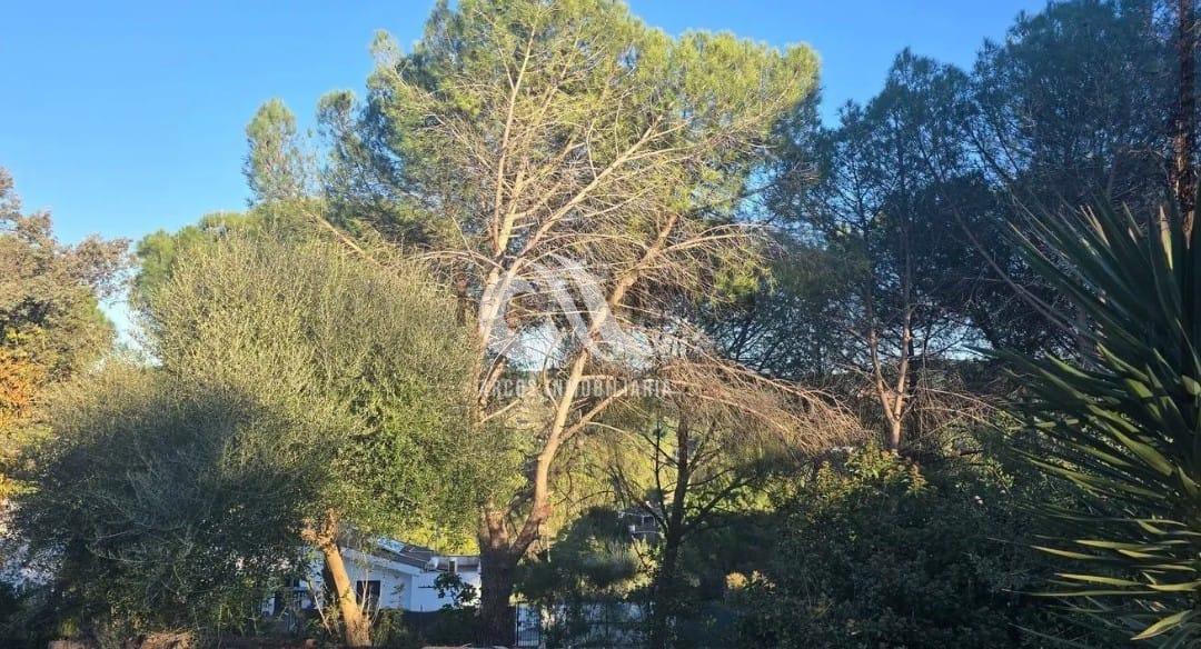 For sale of chalet in Córdoba