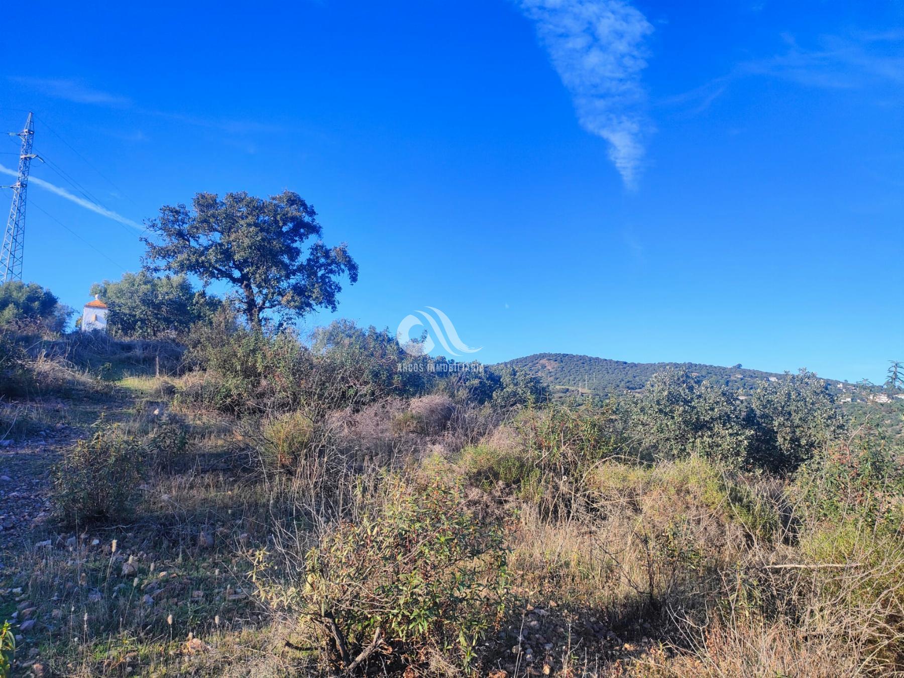 Alquiler de terreno en Córdoba Alquiler de terreno en Córdoba