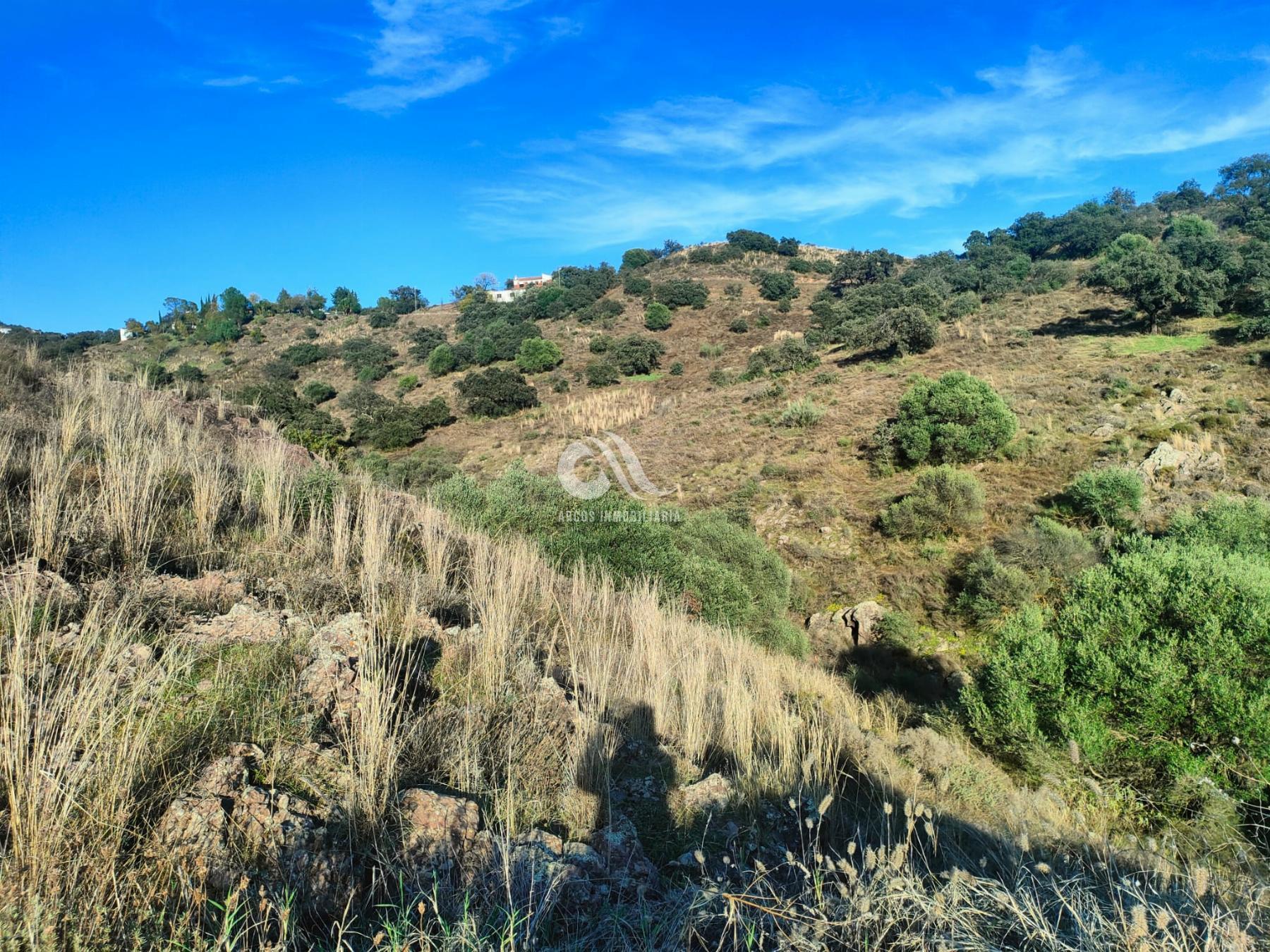 Alquiler de terreno en Córdoba Alquiler de terreno en Córdoba