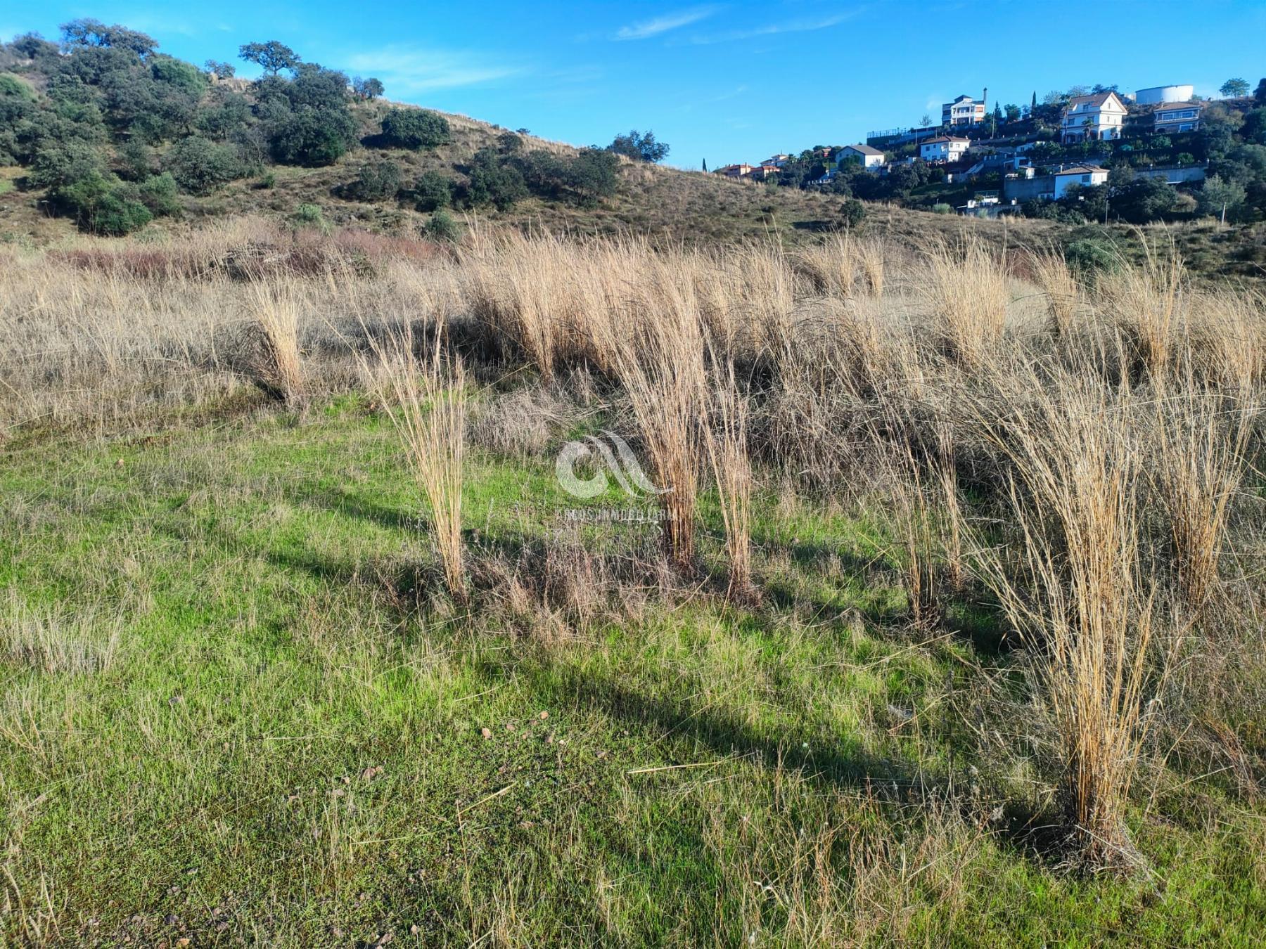 Alquiler de terreno en Córdoba Alquiler de terreno en Córdoba