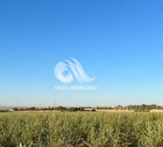 For sale of land in Córdoba