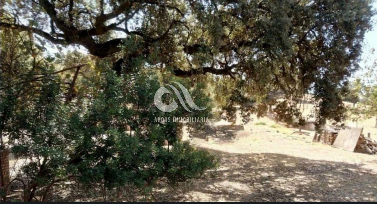 For sale of land in Córdoba