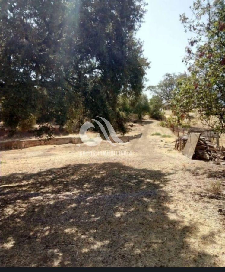 For sale of land in Córdoba